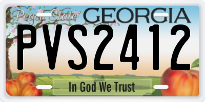 GA license plate PVS2412
