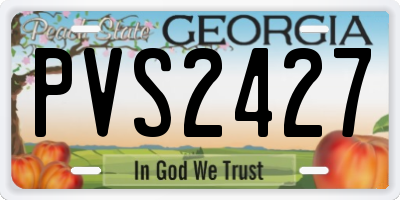 GA license plate PVS2427