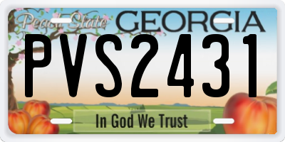 GA license plate PVS2431