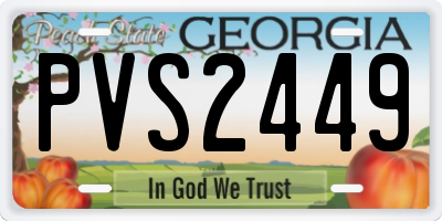 GA license plate PVS2449