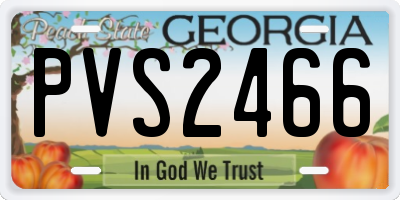 GA license plate PVS2466