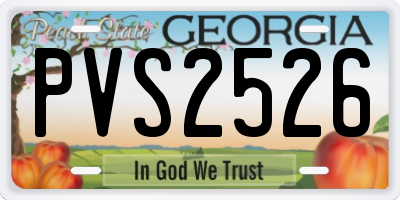 GA license plate PVS2526