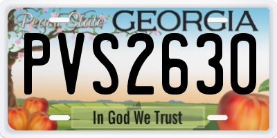 GA license plate PVS2630