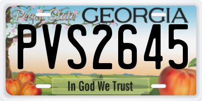 GA license plate PVS2645