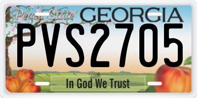 GA license plate PVS2705