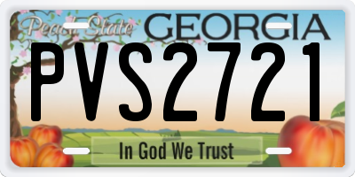 GA license plate PVS2721