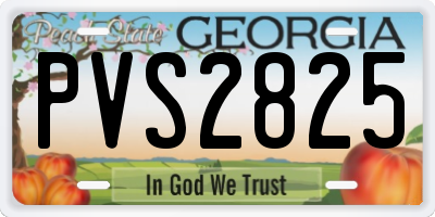 GA license plate PVS2825