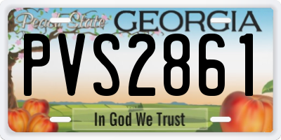 GA license plate PVS2861