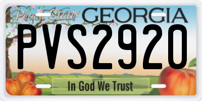 GA license plate PVS2920