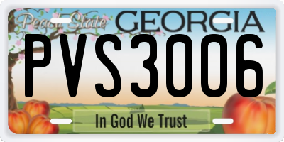 GA license plate PVS3006