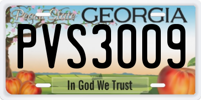 GA license plate PVS3009