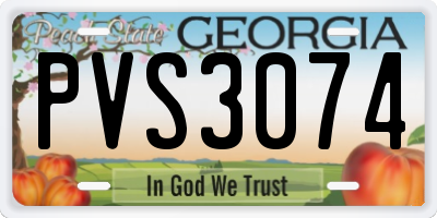 GA license plate PVS3074