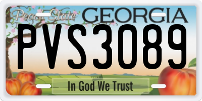 GA license plate PVS3089