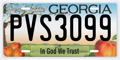 GA license plate PVS3099