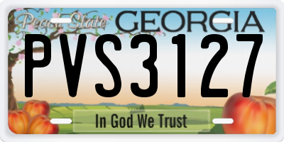 GA license plate PVS3127