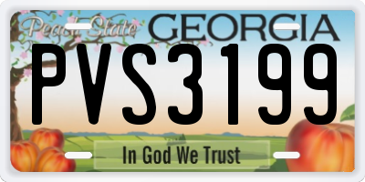 GA license plate PVS3199
