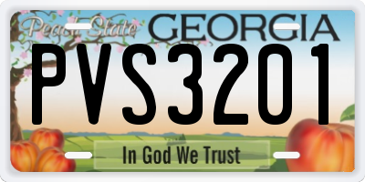GA license plate PVS3201