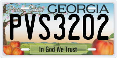 GA license plate PVS3202
