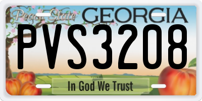 GA license plate PVS3208
