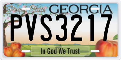 GA license plate PVS3217