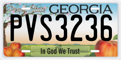 GA license plate PVS3236