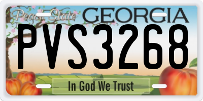 GA license plate PVS3268