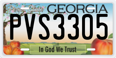 GA license plate PVS3305