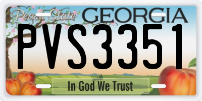 GA license plate PVS3351