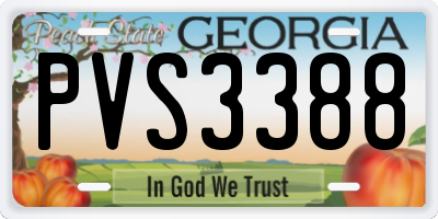 GA license plate PVS3388