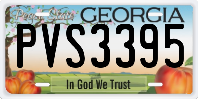 GA license plate PVS3395