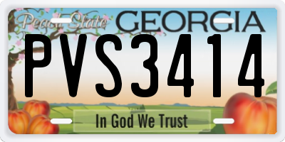 GA license plate PVS3414
