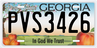GA license plate PVS3426