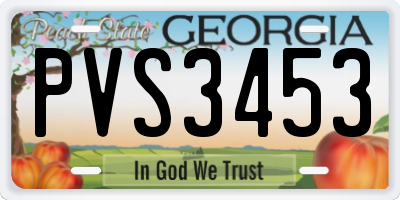 GA license plate PVS3453