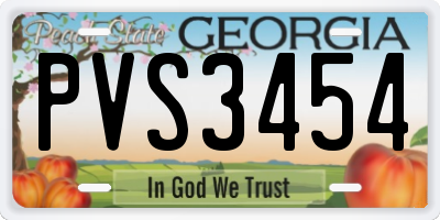 GA license plate PVS3454
