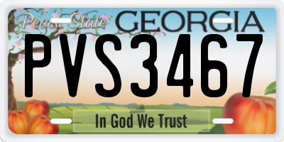 GA license plate PVS3467