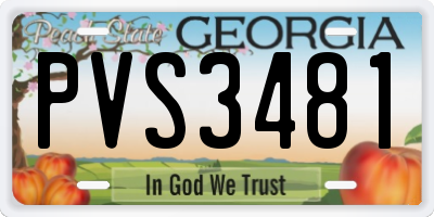 GA license plate PVS3481