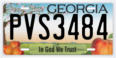 GA license plate PVS3484