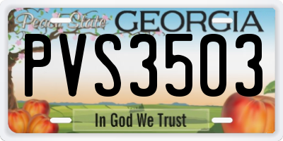 GA license plate PVS3503