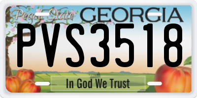 GA license plate PVS3518