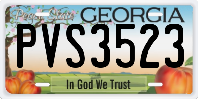 GA license plate PVS3523
