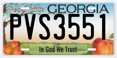 GA license plate PVS3551