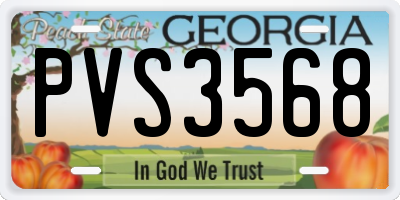 GA license plate PVS3568