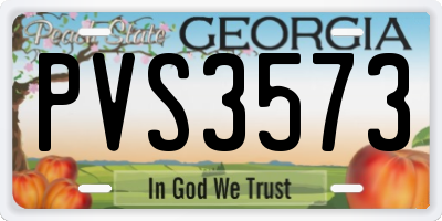 GA license plate PVS3573