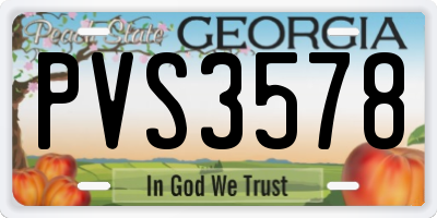 GA license plate PVS3578