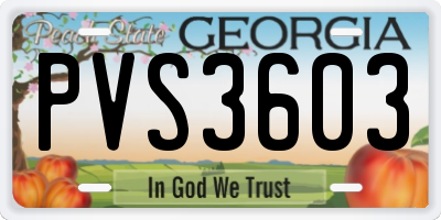 GA license plate PVS3603