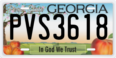 GA license plate PVS3618