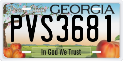 GA license plate PVS3681