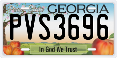 GA license plate PVS3696