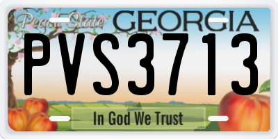 GA license plate PVS3713