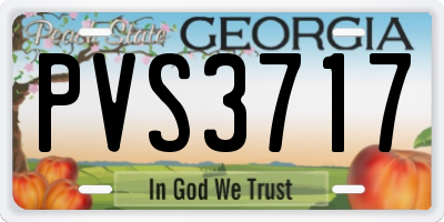 GA license plate PVS3717